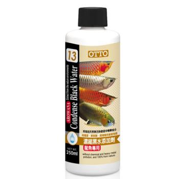 【OTTO】奧圖 龍魚專用濃縮 黑水營養添加劑 250ml X 1入