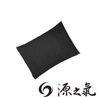 【源之氣】竹炭除濕脫臭輕巧包/40g(10入/組) RM-9409