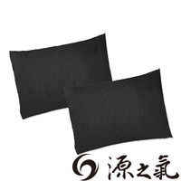 【源之氣】竹炭鞋子/鞋櫃除濕脫臭包/40g(12入/組) RM-9464