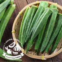 【愛上新鮮】天然秋葵脆條12包
