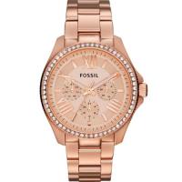 FOSSIL Cecile 羅馬時尚日曆晶鑽腕錶-玫塊金/40mm AM4483