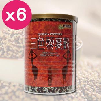 元豪食品 三色藜麥粉400g(6罐)