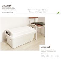 日本 RISU TRUNK CARGO 多功能環保耐重收納箱 70L - 共兩色