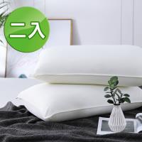 《HOYACASA漫步雲端》獨立筒釋壓高彈力枕(二入)
