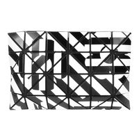 ISSEY MIYAKE 三宅一生 BAOBAO 4x6花朵錯視幾何狂想手拿包(黑白)