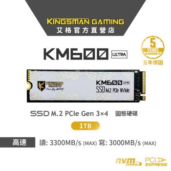 【AITC】艾格 KINGSMAN KM600 ULTRA SSD 1TB M.2 2280 PCIe NVMe 固態硬碟+散熱片