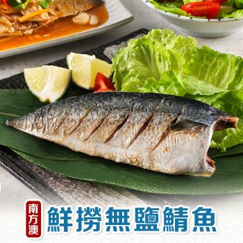 南方澳鮮撈無鹽鯖魚30片(110-120g/片)