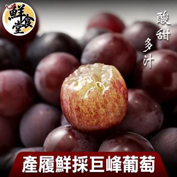 【鮮食堂】酸甜多汁鮮採巨峰葡萄3箱(1200g/盒)