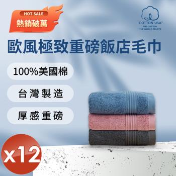 HKIL-巾專家 MIT歐風極緻厚感重磅飯店彩色毛巾(3色任選)-12入組
