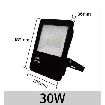 【青禾坊】歐奇OC 30W LED 戶外防水投光燈 投射燈-1入 (超薄 IP66投射燈 CNS認證 )