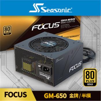 海韻 Seasonic FOCUS GM 650 金牌/半模 電源供應器