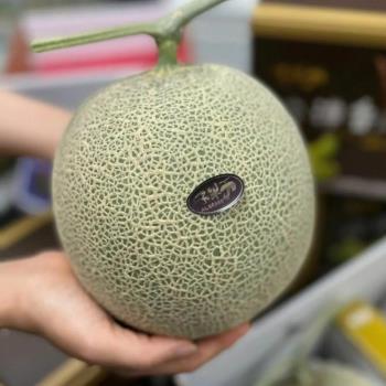 【RealShop 真食材本舖】日本頂級品種 阿露斯網紋洋香瓜 原裝  11公斤±10%  6-7顆