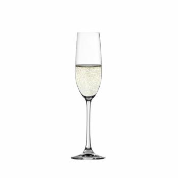 【Spiegelau】12入香檳杯｜Salute系列-210 ml