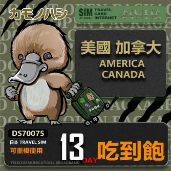 【鴨嘴獸 旅遊網卡】Travel Sim 美國 加拿大 13日 吃到飽上網卡 旅遊卡