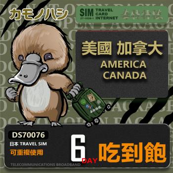 【鴨嘴獸 旅遊網卡】Travel Sim 美國 加拿大 6日 吃到飽上網卡 旅遊卡