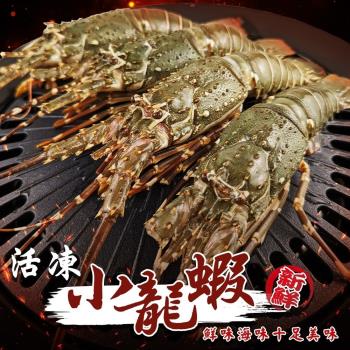 海肉管家-活凍小龍蝦3尾(約100-150g/尾)