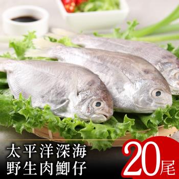 【北村漁家】太平洋深海野生肉魚20尾(2尾/包)