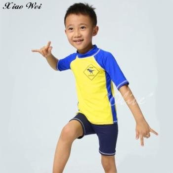 【沙麗品牌 】 流行男童短袖二件式泳裝 NO.219018