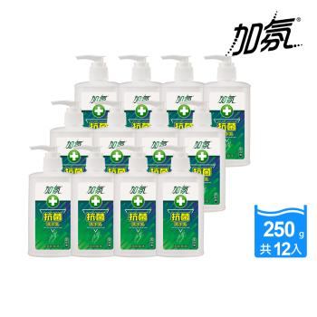 【加氛】抗菌洗手乳250gx12瓶