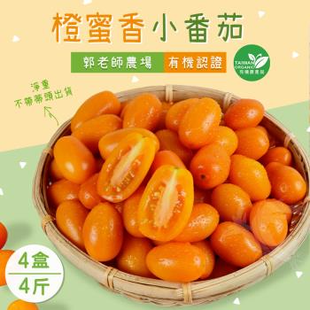 【禾鴻】郭老師農場有機認證橙蜜香小番茄禮盒4斤x4盒(淨重不帶蒂頭出貨)