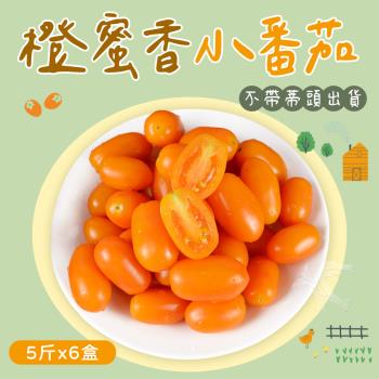 【禾鴻】橙蜜香小番茄禮盒5斤x6盒(不帶蒂頭出貨)
