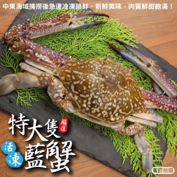 海肉管家-活凍特大隻藍花蟹1隻(400-450g/隻)