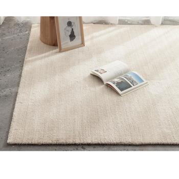 【范登伯格】比利時 FJORD都會時尚簡約進口地毯-簡潔 160x230cm