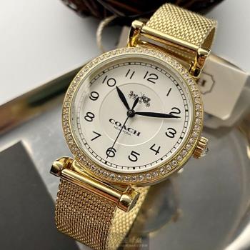 COACH手錶, 女錶 32mm 金色圓形精鋼錶殼 白色簡約, 時分秒中三針顯示錶面款 CH00061