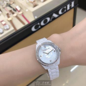 COACH手錶, 女錶 32mm 白圓形陶瓷錶殼 櫻花貝母時分中二針顯示, 貝母錶面款 CH00068