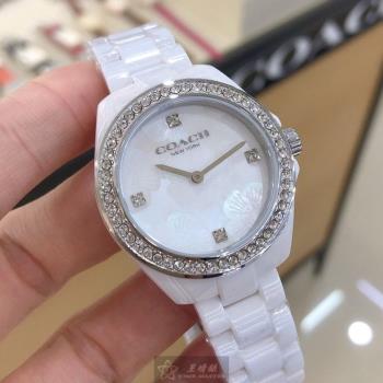 COACH 蔻馳女錶 32mm 白圓形陶瓷錶殼 櫻花貝母時分中二針顯示, 貝母錶面款 CH00068