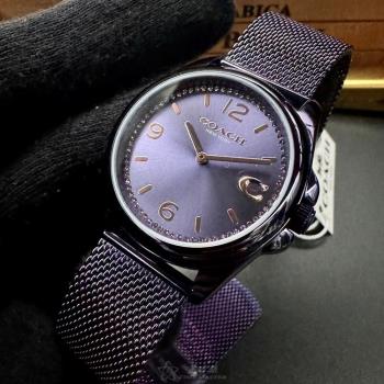 COACH手錶, 女錶 36mm 紫色圓形精鋼錶殼 紫色簡約, 中二針顯示錶面款 CH00179