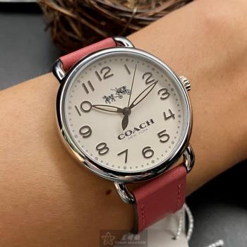 COACH 蔻馳女錶 36mm 銀圓形精鋼錶殼 白色簡約, 中三針顯示錶面款 CH00152