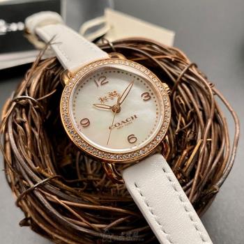 COACH 蔻馳女錶 28mm 玫瑰金圓形精鋼錶殼 貝母簡約, 中三針顯示, 貝母錶面款 CH00148