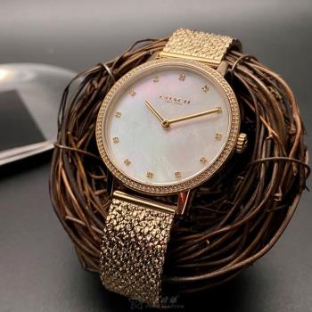 COACH手錶, 女錶 26mm 金色圓形精鋼錶殼 貝母中二針顯示, 貝母錶面款 CH00147