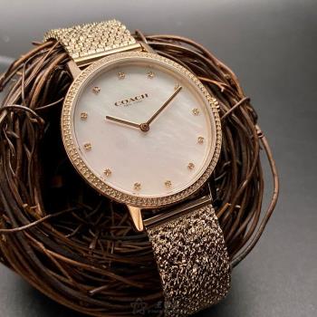 COACH 蔻馳女錶 26mm 金色圓形精鋼錶殼 貝母中二針顯示, 貝母錶面款 CH00147