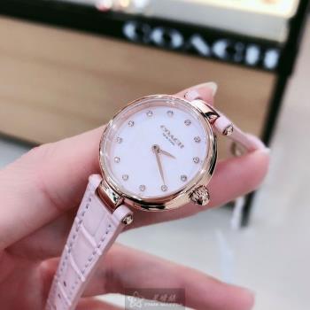 COACH 蔻馳女錶 26mm 玫瑰金圓形精鋼錶殼 粉紅色簡約, 中二針顯示, 鑽圈錶面款 CH00146