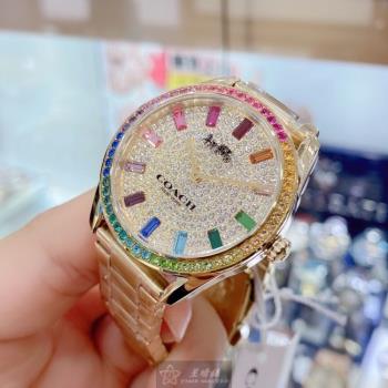 COACH手錶, 女錶 36mm 彩色圓形精鋼錶殼 糖豆滿天星錶面款 CH00136