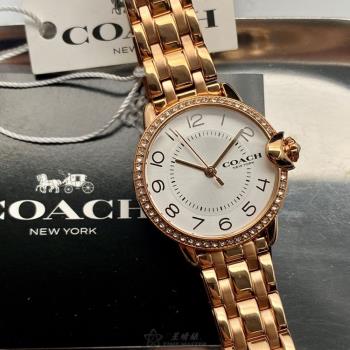 COACH 蔻馳女錶 28mm 玫瑰金圓形精鋼錶殼 白色簡約, 中三針顯示錶面款 CH00133