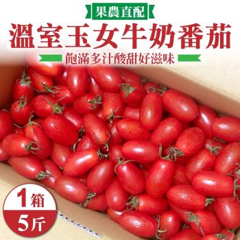果農直配-嚴選溫室玉女小番茄(約5斤/箱)