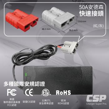 【CSP】電動推高機 電動叉車48V2A電池自動充電器 