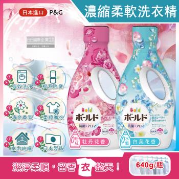 日本P&G Bold-超濃縮強洗淨除臭室內晾曬花香氛柔軟全效洗衣精640g/瓶(持香約24小時,香氛柔順劑)