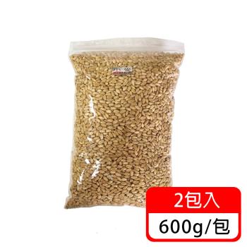 (毛寶當家)貓草種子600g*2包入 不含盆栽 小麥種子 促進腸胃蠕動 澳洲進口貓草種子