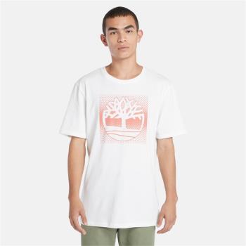 Timberland 男款白色Logo休閒短袖T恤|A2Q8D100