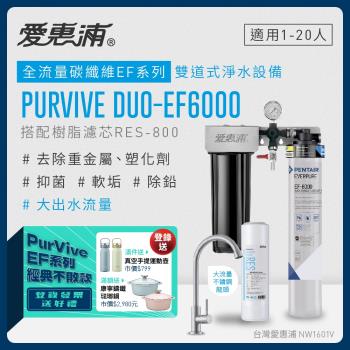 愛惠浦 EVERPURE PURVIVE Duo-EF6000生飲級兩道式廚下型淨水器(前置樹脂軟水)
