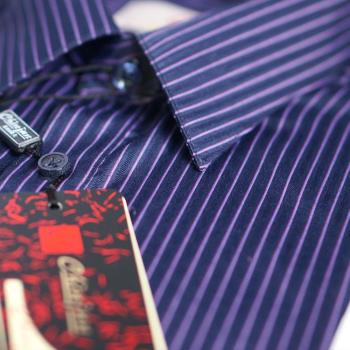 【CHINJUN/65系列】機能舒適襯衫-長袖、藍紫色條紋、8219