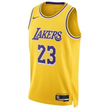 Nike 男裝 NBA 球衣 JAMES 洛杉磯 湖人隊 黃【運動世界】DN2009-733