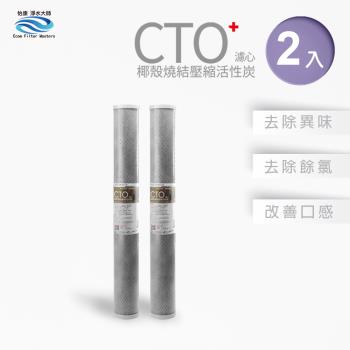 【怡康】20吋小胖CTO燒結壓縮活性碳濾心(2入)
