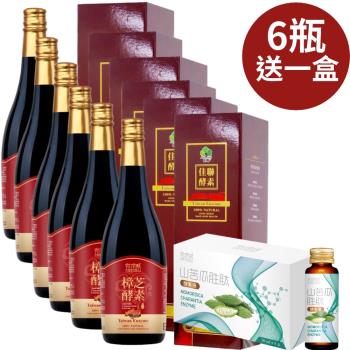 母親節獨家 宜日宜日孝 樟芝酵素750ml 6瓶 贈山苦瓜酵素30mlx6瓶 盒 1盒