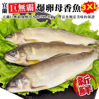 海肉管家-宜蘭巨無霸3XL爆卵母香魚(3-5尾_920g/盒)