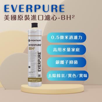 【EVERPURE】PENTAIR BH2 (1入) 濾心 濾芯 美國原廠進口 平行輸入 濱特爾